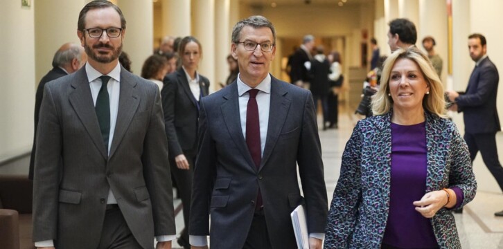 Alberto Núñez Feijóo en el Senado