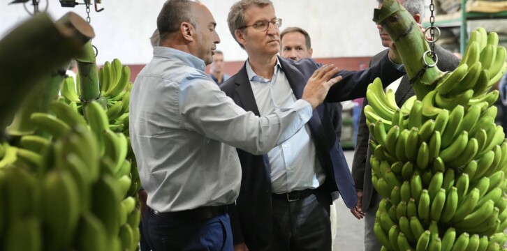 Alberto Núñez Feijóo visita La Palma