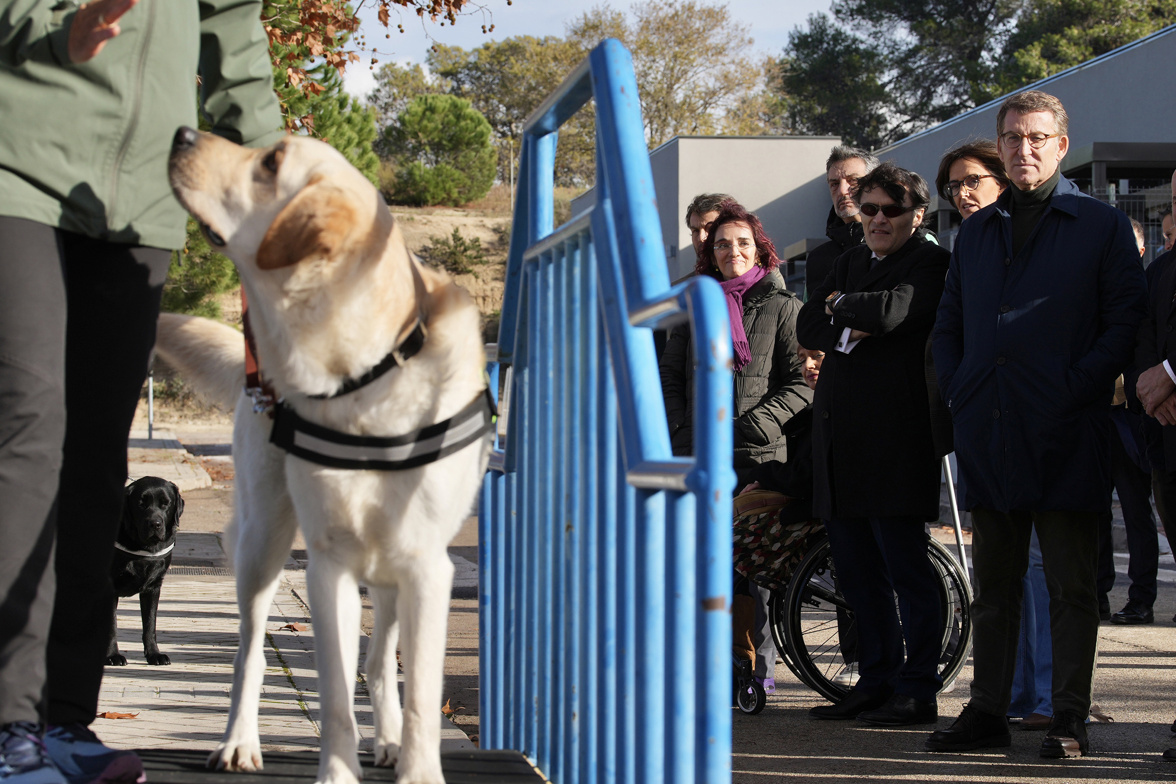 El presidente del Partido Popular, Alberto Núñez Feijóo, visita la Fundación Once del Perro Guía