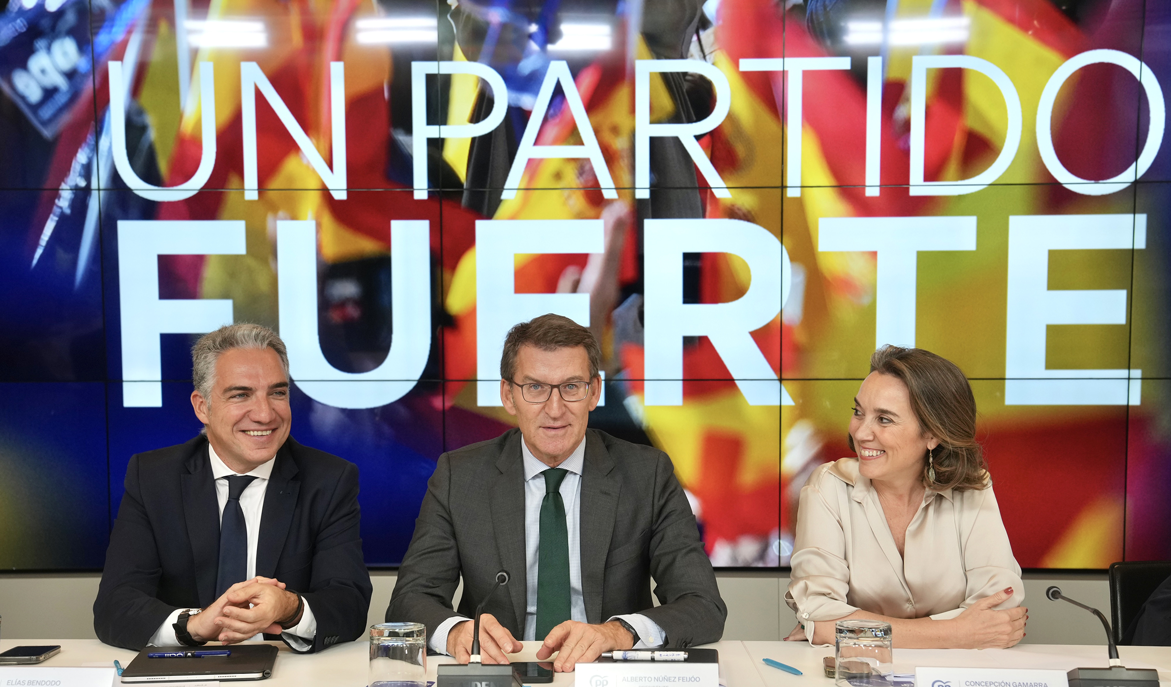 Alberto Núñez Feijóo preside el Comité Ejecutivo Nacional