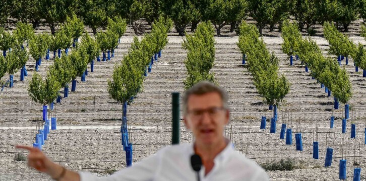 Alberto Núñez Feijóo participa en un acto sobre agricultura en Cieza, Murcia