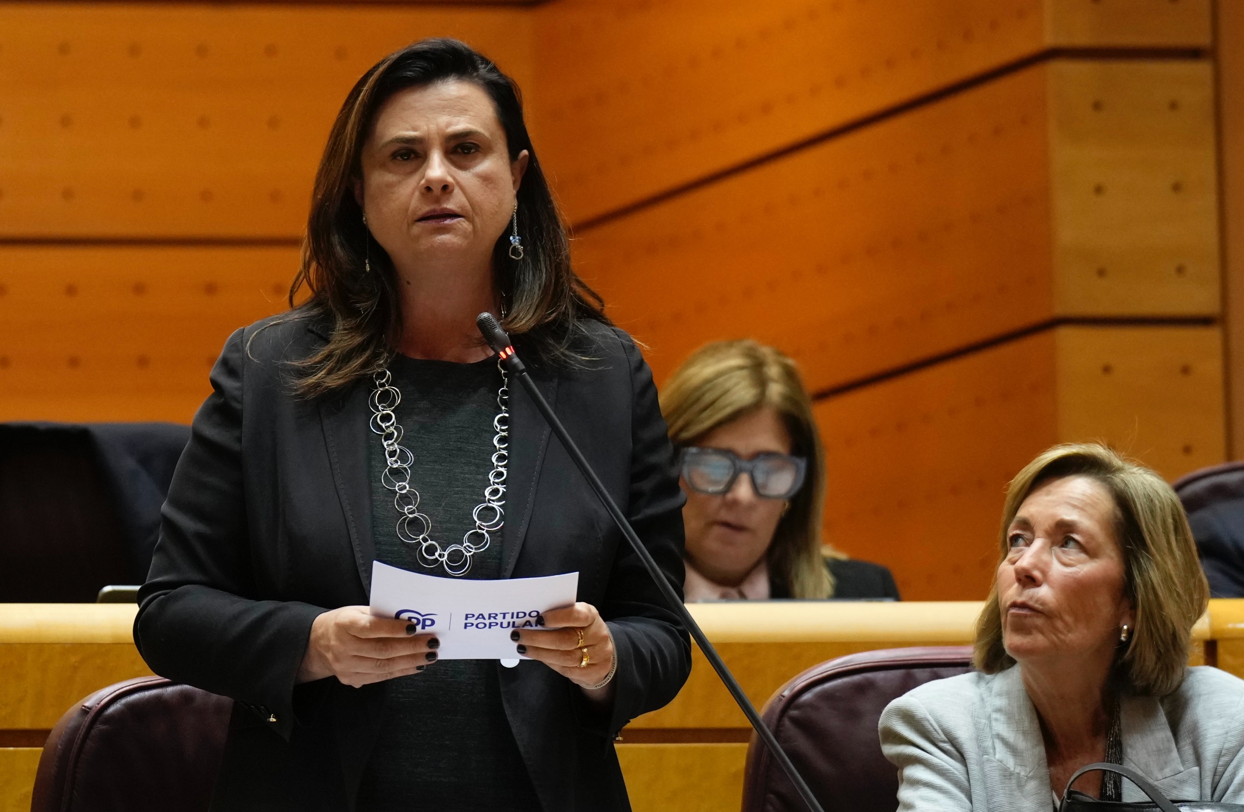 Rosa Viera: “El Gobierno planifica en secreto el desmantelamiento de la ...