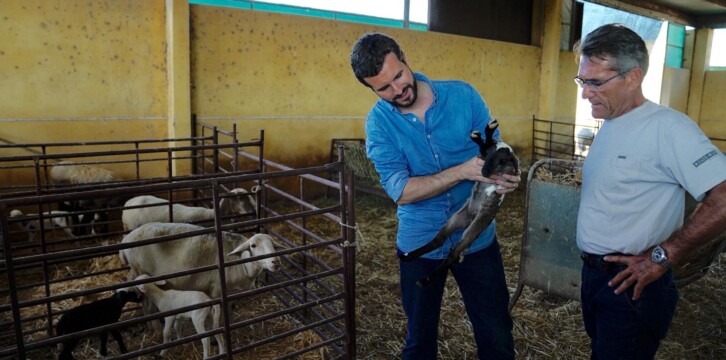 Casado visita las zonas afectadas por la DANA en Almería, Murcia y Alicante