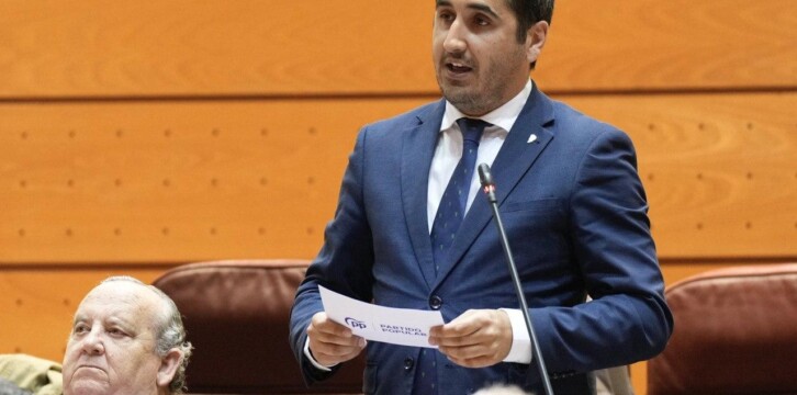 El senador del Grupo Parlamentario Popular por La Palma, Borja Pérez Sicilia