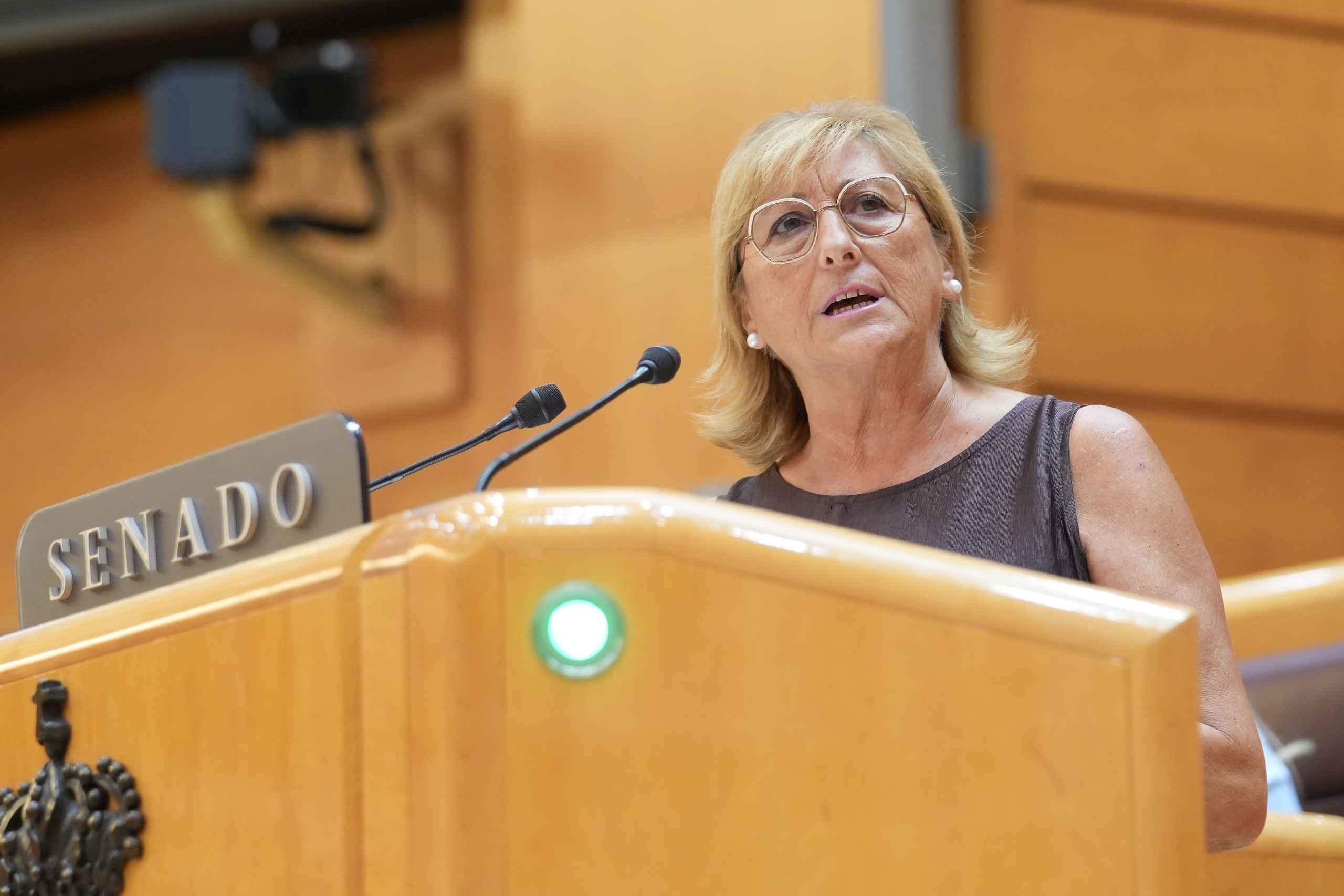 El PP exige al Gobierno apoyo para Ceuta y medidas de protección