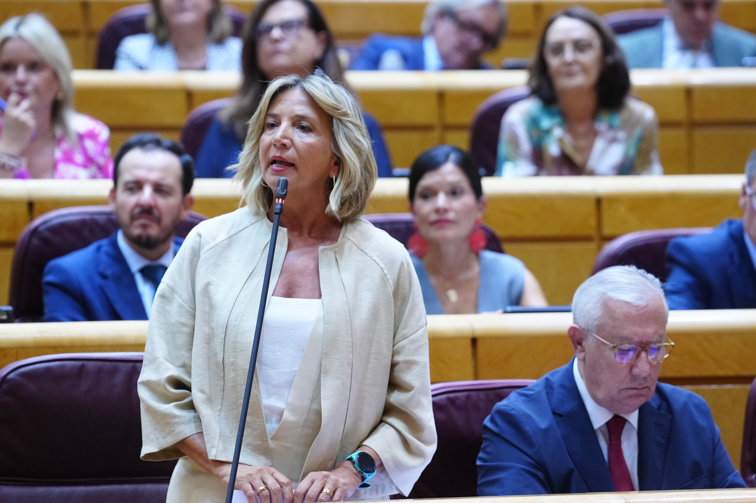 Alicia García expone diez motivos para la dimisión del ministro Marlaska en el Senado